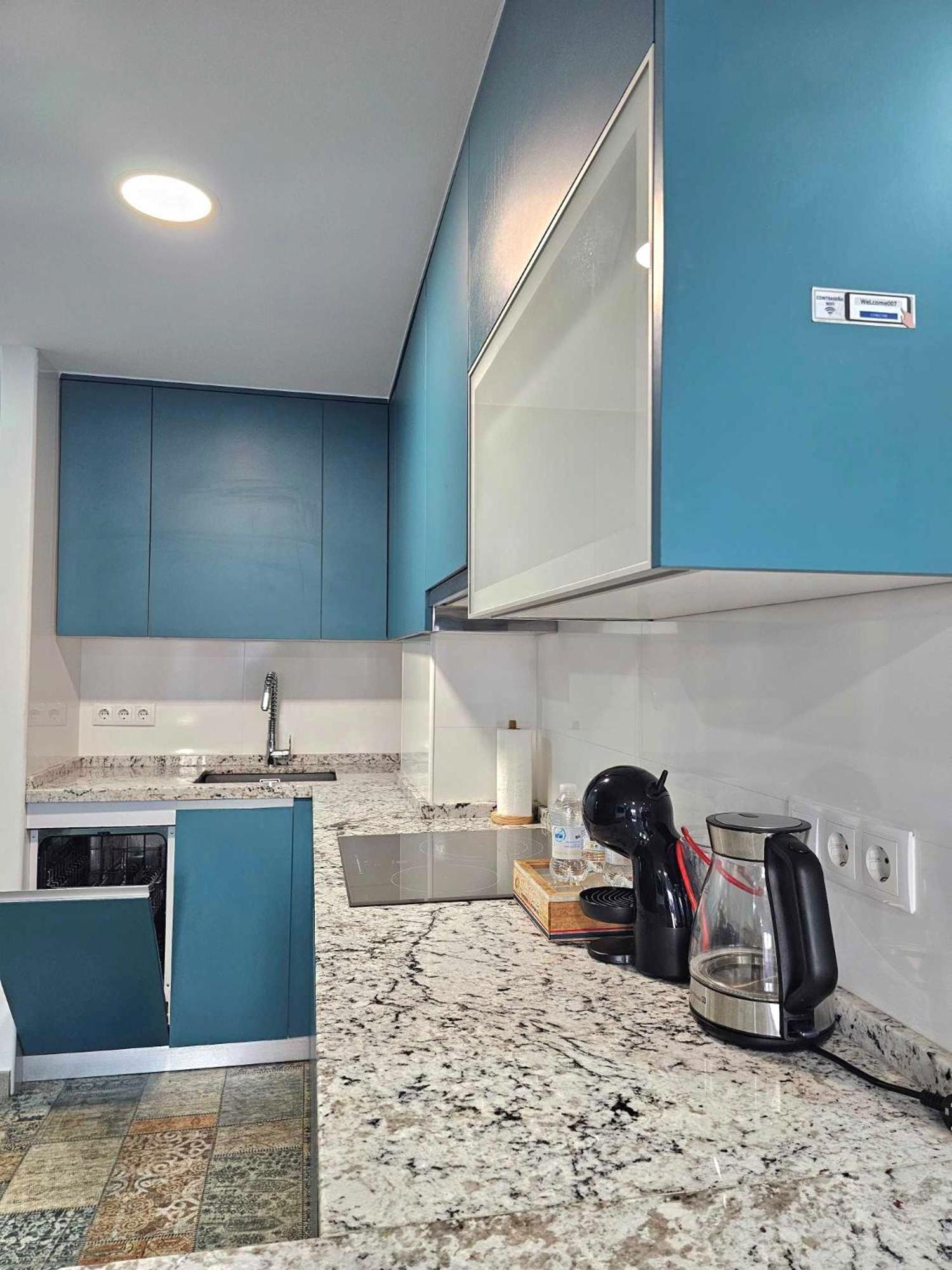 Suncastle Apartamentos Alicante -With Sunny Rooftop Terrace And Barbecue Exteriör bild